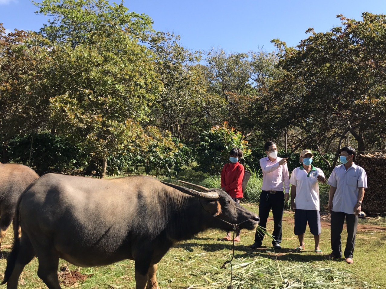 Tăng trưởng tín dụng chính sách đạt hơn 25% so với đầu năm.